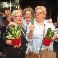 2017-08-25 Mijn Sansevieria en ik 12 2017-08-25 Mijn Sansevieria en ik 12